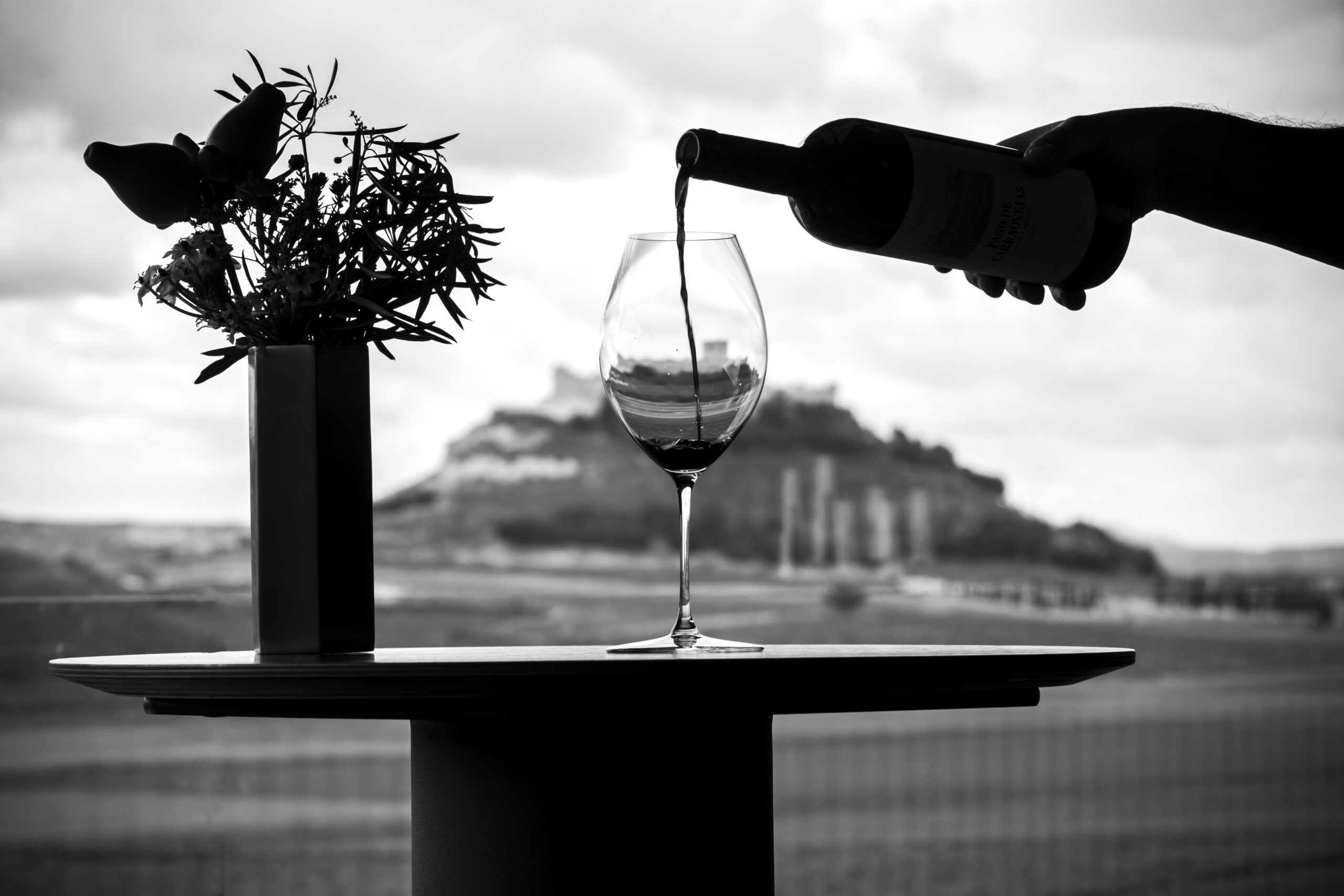 España hoy: tres vinos que marcan el rumbo de su viticultura contemporánea